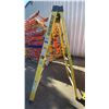 Image 3 : PAIR OF YELLOW FEATHERLITE 6' LADDERS