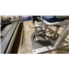 Image 5 : ALOYD PARAMOUNT INNER/OUTER THIGH MACHINE *MAY REQUIRE PARTS/REPAIR*