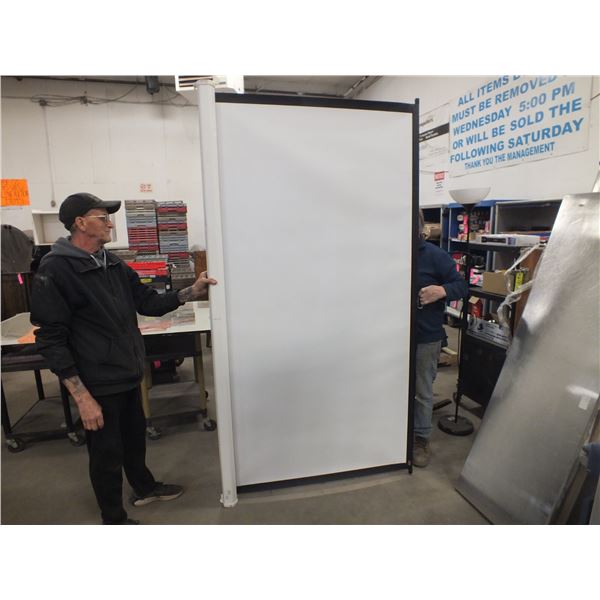 Projector Screen