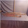 Image 1 : Lot of walking Canes and umbrella et cetera