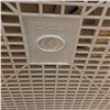 Image 2 : Torcan box fan