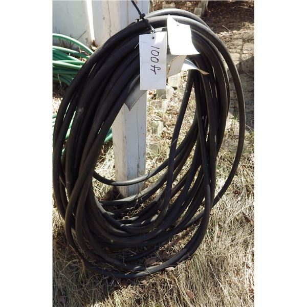 garden hose 100 feet