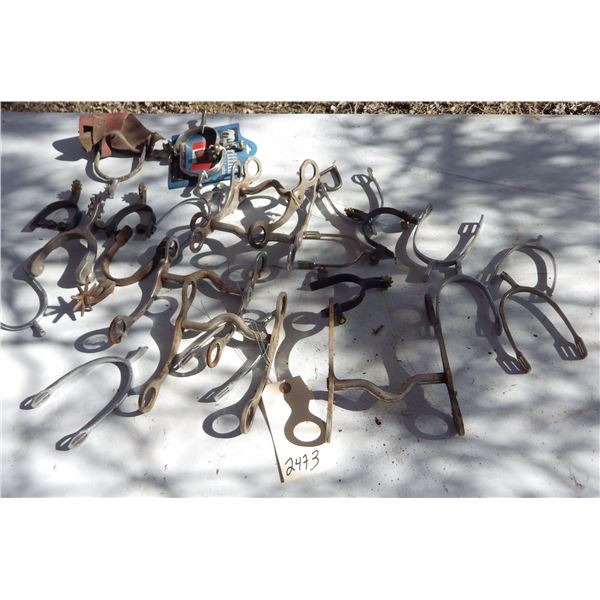 bridle bits and spurs