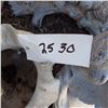 Image 4 : welcome garden statue - is damaged -  and cement Angel statue , bird bath etc
