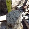 Image 2 : Garden décor bird bath