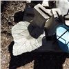 Image 2 : pallet of assorted garden décor items