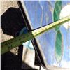 Image 5 : pallet of assorted garden décor items