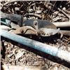 Image 2 : gardening hand tools