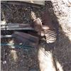 Image 2 : gardening hand tools