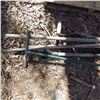 Image 3 : gardening hand tools