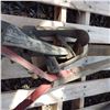 Image 3 : gardening hand tools