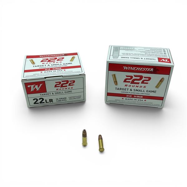 Winchester Target & Small Game 22 LR 36 Grain CPHP Ammunition, 444 Rounds
