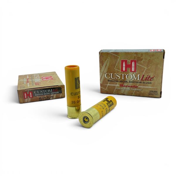 Hornady Custom Lite 20 Gauge 250 Grain FTX Slug Ammunition, 10 Rounds