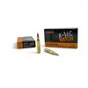 Image 1 : Nosler Ballistic Tip 30-06 Sprg 165 Grain BT Ammunition, 40 Rounds