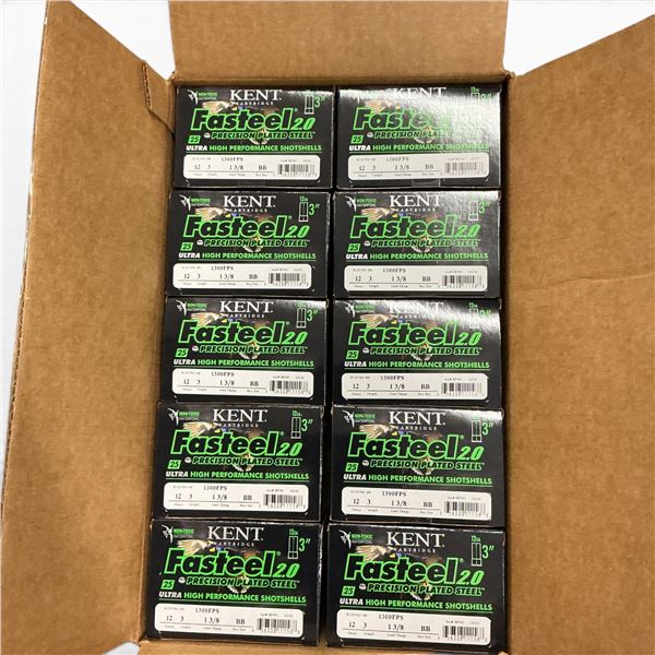 Kent K123FS40-BB Fasteel 2.0 12 Ga 3" BB Ammunition, 250 Round Case