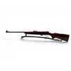 Image 2 : TOZ 17-01 Bolt Action Rifle .22LR 21" Barrel Wood Stock