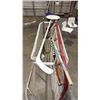 Image 4 : WINWELL HOCKEY NET WITH PRACTICE TARGET AND ASSORTED STICKS AND BALLS/PUCKS