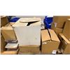 Image 1 : PALLET OF ASSORTED ASIAN PAPER LANTERNS