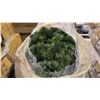 Image 2 : PALLET OF ARTIFICIAL CHRISTMAS PINE BOUGHS
