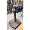 Image 2 : BALDOR INDUSTRIAL BUFFER ON STEEL PEDESTAL STAND
