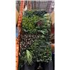 Image 2 : (8) ARTIFICIAL BIRCH TREES AND A LARGE BOX OF ARTIFICIAL GREENERY