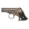 Image 1 : Remington-Elliot Pepperbox Derringer in .22 Rimfire