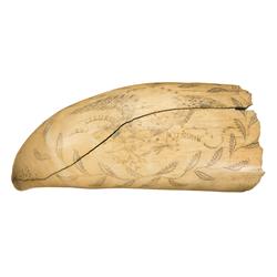 Large Scrimshawed Whale Tooth with Patriotic Motif