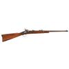 Image 1 : U.S. Springfield Model 1879 Trapdoor Carbine
