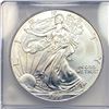 Image 3 : 1999 Silver Eagle ICG MS70