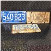 Image 1 : Vintage License Plates