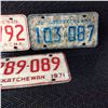 Image 3 : Vintage License Plates