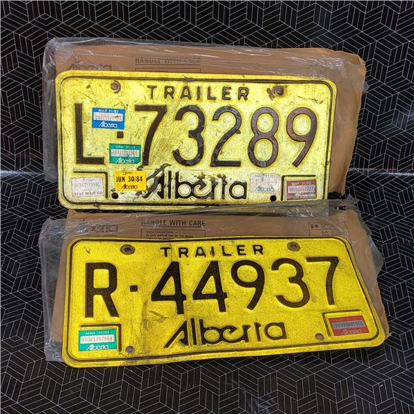 Vintage License Plates