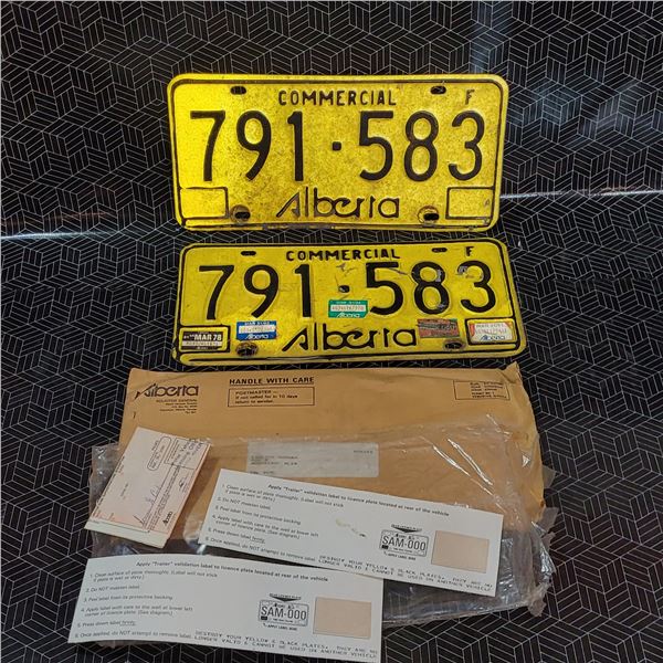 Vintage License Plates
