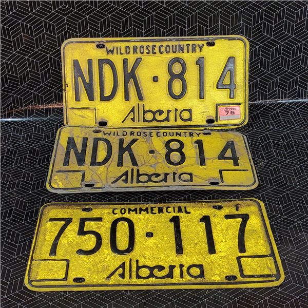 Vintage License Plates