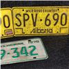 Image 3 : Vintage License Plates