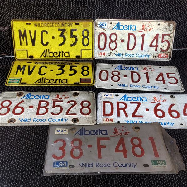 Vintage License Plates