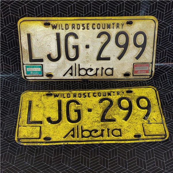 Vintage License Plates