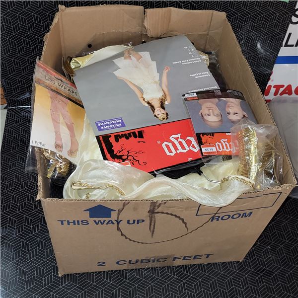 Box of Adult Halloween Costume and Accessories
