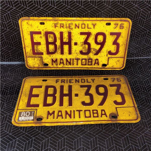 Vintage License Plates