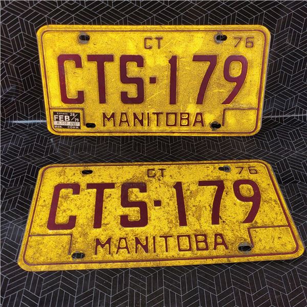 Vintage License Plates