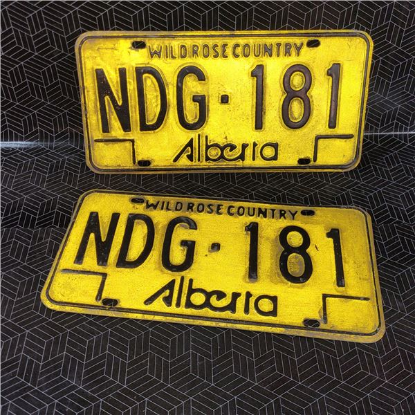 Vintage License Plates
