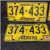Image 1 : Vintage License Plates