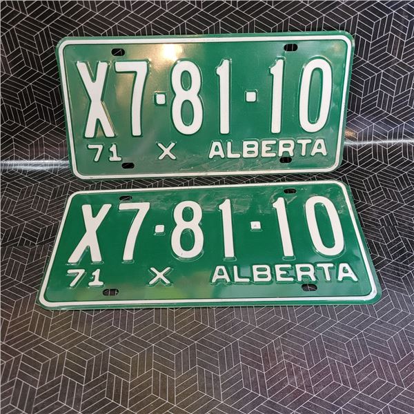 Vintage License Plates