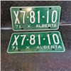 Image 1 : Vintage License Plates