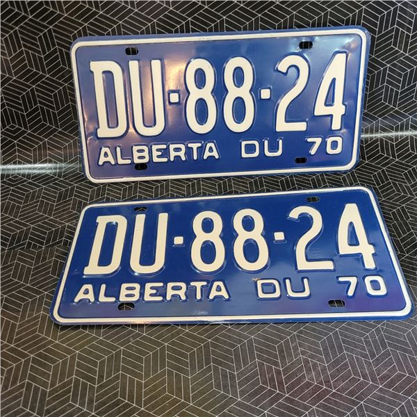 Vintage License Plates