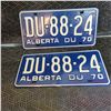 Image 1 : Vintage License Plates