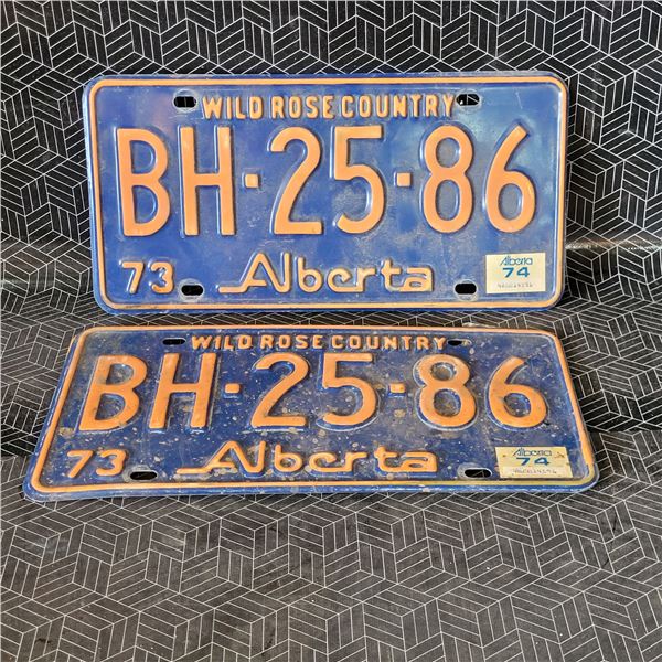 Vintage License Plates