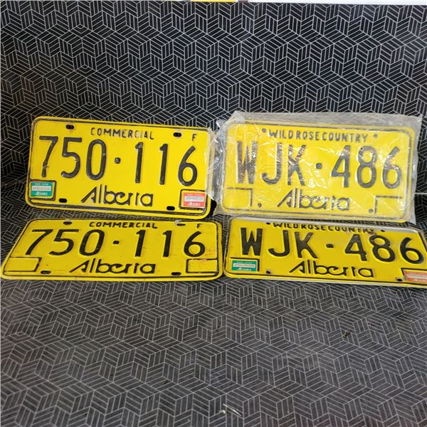 Vintage License Plates