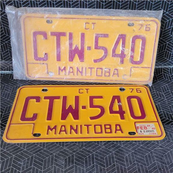 Vintage License Plates