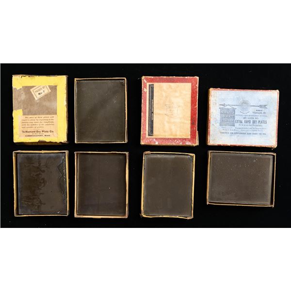 59 PHOTOGRAPHIC DRY PLATES OF AFRICA & SAFARI